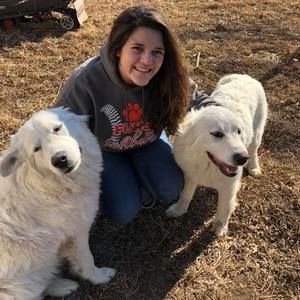 Meet your Posher, Brenda